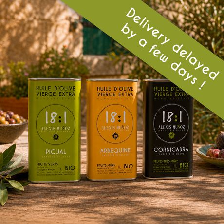 3D cans of 1L 18:1 olive oil in green, sand, and black colors, from the brand Alexis Muñoz.