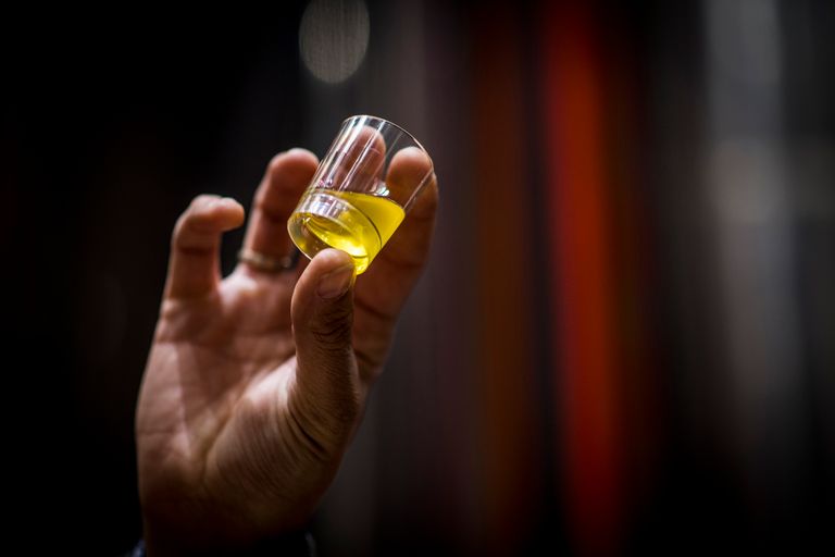 Tasting cup containing olive oil, held by a hand, with a matte red background in the distance.