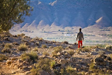 Alexis Muñoz Tunisie Oliveraie
