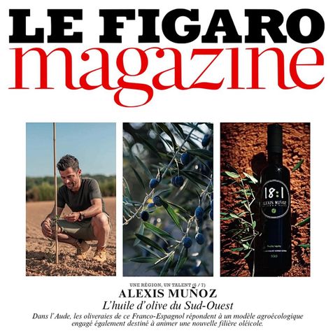 Logo Le Figaro Magazine en noir et rouge. 3 photos: Alexis Muñoz accroupi devant un olivier, olives noires sur un olivier avec ses branches vertes foncées, une bouteille d'huile d'olive 18:1 au sol sur de la terra cotta et une branche d'olivier.