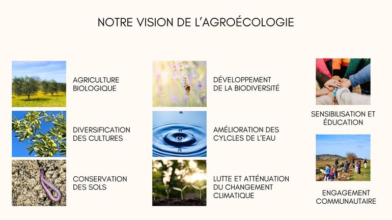 Vision De Lagroecologie 1