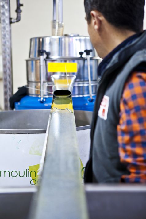 Alexis Muñoz en pleine production d'huile d'olive, tourné vers le moulin regardant le premier jus d'olive