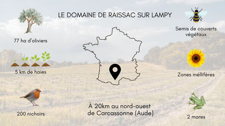 Dessin d'une carte de France avec des icônes (olivier, plantation, oiseaux, abeille, tournesol, grenouile) indiquant des chiffres clefs. En fond, il y a une friche agricole et un ciel bleu.