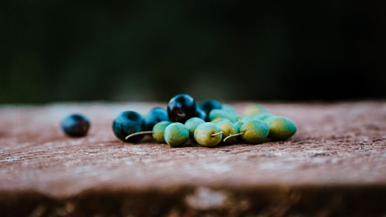 A photo depicting a close-up of green and black olives. These fruits are placed on a stone surface, with a dark blurred background that highlights the fruits.