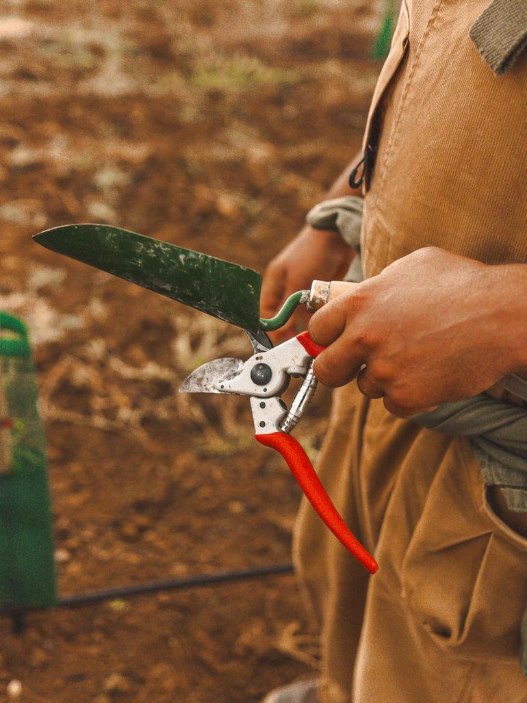 Alexis tools