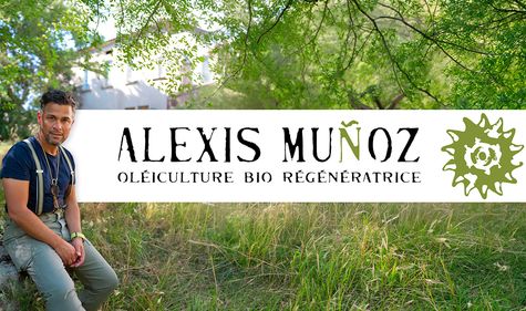 Alexis Munoz assis en extérieur au premier plan, avec le logo « Alexis Munoz Oléiculture régénératrice » sur fond blanc.