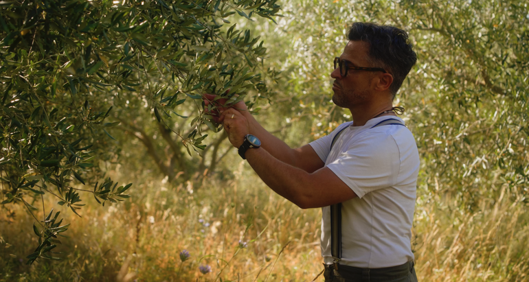 Alexis Muñoz dans l'oliveraie