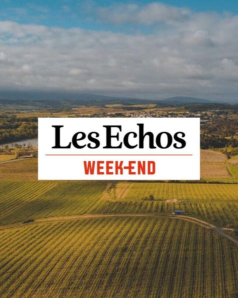 Logo Les échos week-end en noir et rouge sur fond blanc. En arrière plan, vue du ciel d'un champ d'oliviers, en second plan montagnes et nuages gris