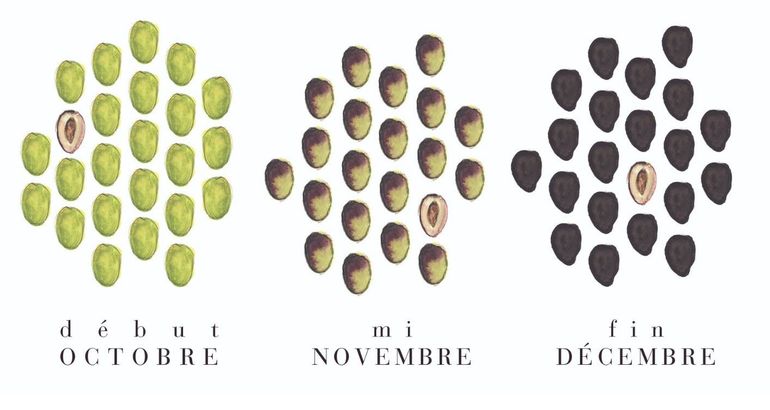 Design Sans Titre (2)