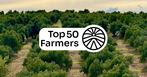 An agroforestry olive grove from the Nectar program in the background, with the Top 50 Farmers logo in the foreground.