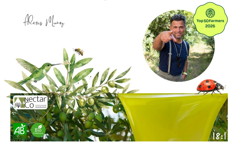 Capture D’écran 2026 03 26 À 14.59.41