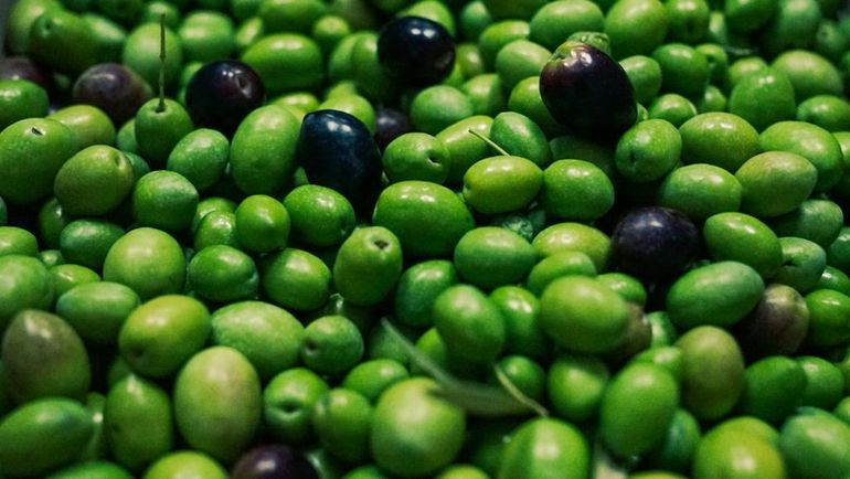 Zoom Olives