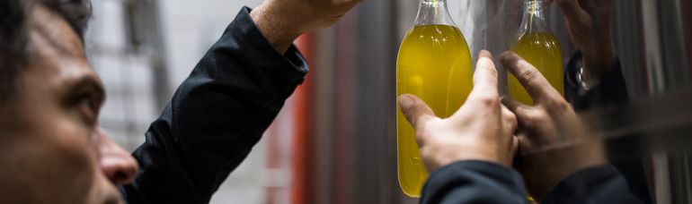 Zoom sur des main qui tiens une bouteille dans laquelle coule une Huile d'olive couleur jaune-vert, directement d'une cuve en inox.