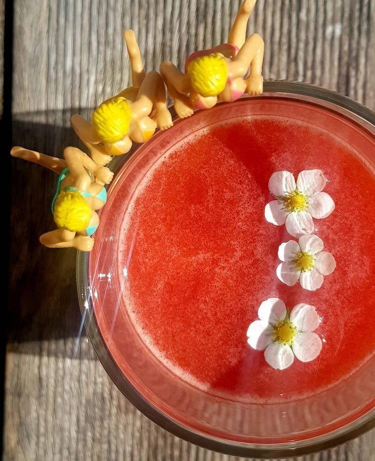 Soupe De Fraise Et Ho 1