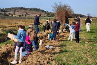 Children planting diverse hedgerows.