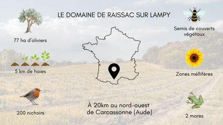 Drawing of a map of France with icons (olive tree, planting, birds, bee, sunflower, frog) showing key figures. In the background, there is fallow farmland and a blue sky.