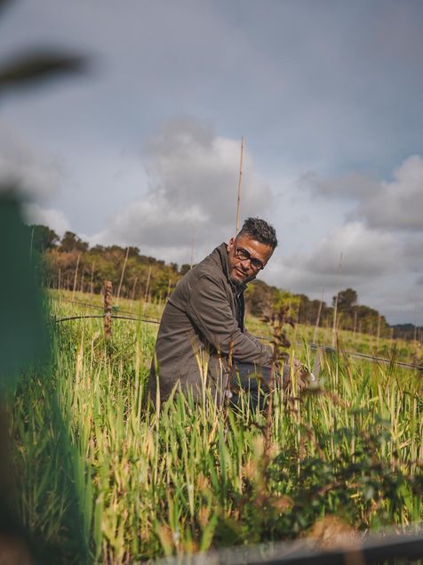 Alexis Muñoz porte des lunettes il est dans un champs d'oliviers et regarde la terre