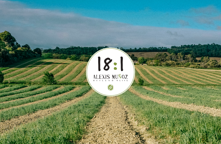 Oliveraie en devenir, logo rond blanc 18:1 Alexis Muñoz huiles d'olive.