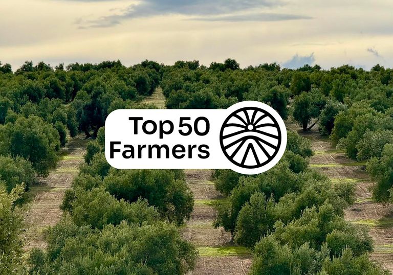 Une oliveraie en agroforesterie issue du programme Nectar en arrière-plan, avec le logo Top 50 Farmers au premier plan.