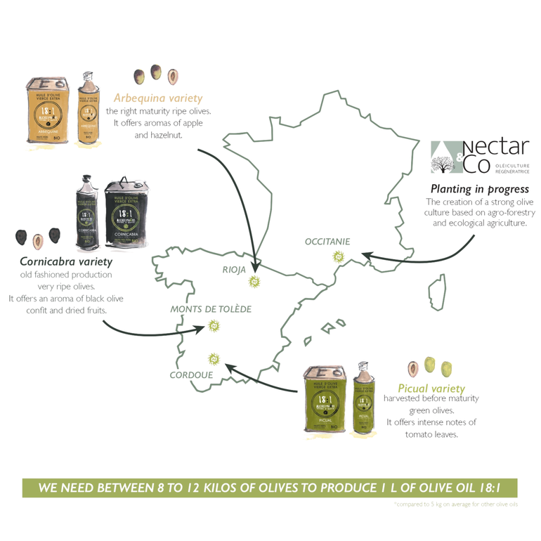 Productions Plantations Map