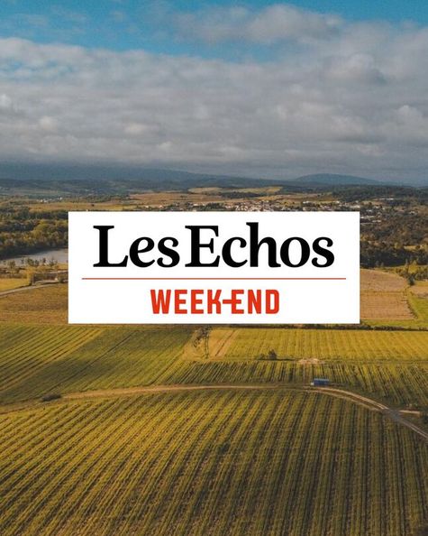 Logo Les échos week-end en noir et rouge sur fond blanc. En arrière plan, vue du ciel d'un champ d'oliviers, en second plan montagnes et nuages gris
