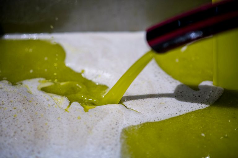 Golden-yellow olive oil flowing directly from the mill, made from freshly harvested and pressed olives.
