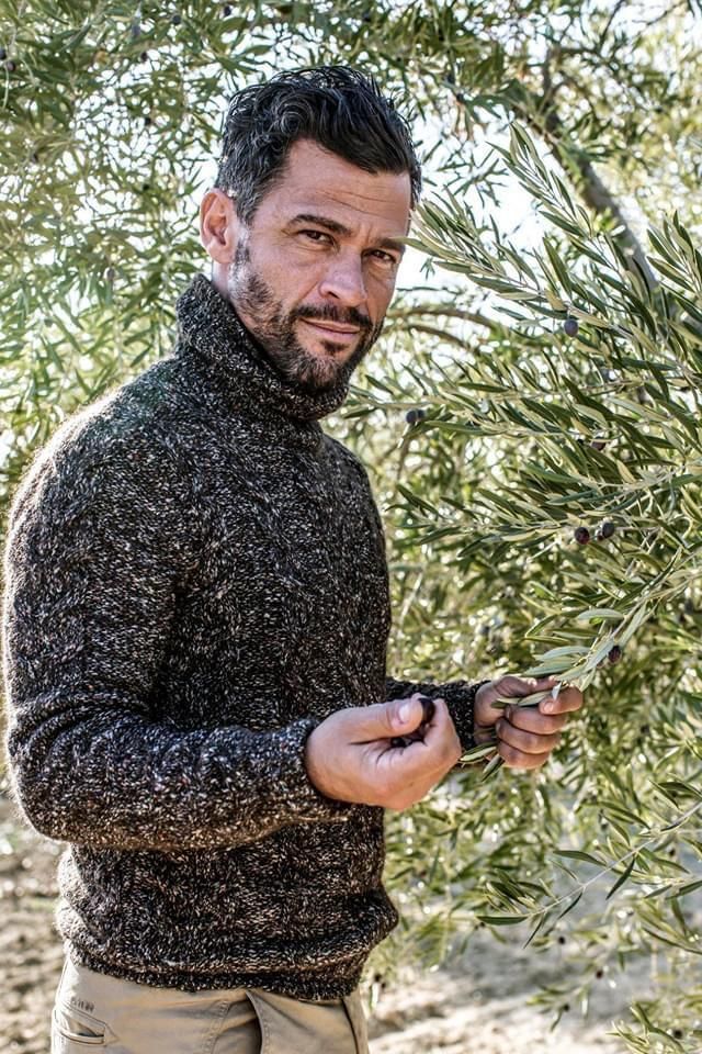 Alexis Muñoz touchant des olives mûres encore sur l'arbre, sous un soleil éclatant.