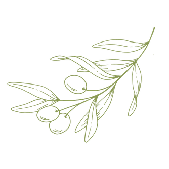 Pictogramme d'une branche d'olivier en illustration dessin