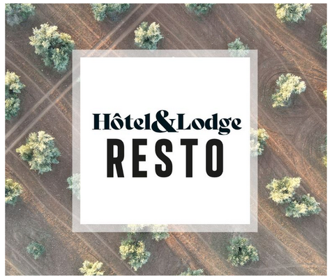 Champ d'olivier en fond, logo 