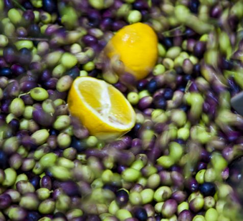 Olivees vertes, violettes et noires mélangées avec des quartiers de citron entiers.