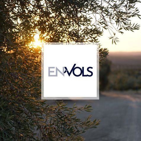 Il y a un olivier en fond d'image avec le soleil. En avant, il y a le logo du magazine 'Envols'