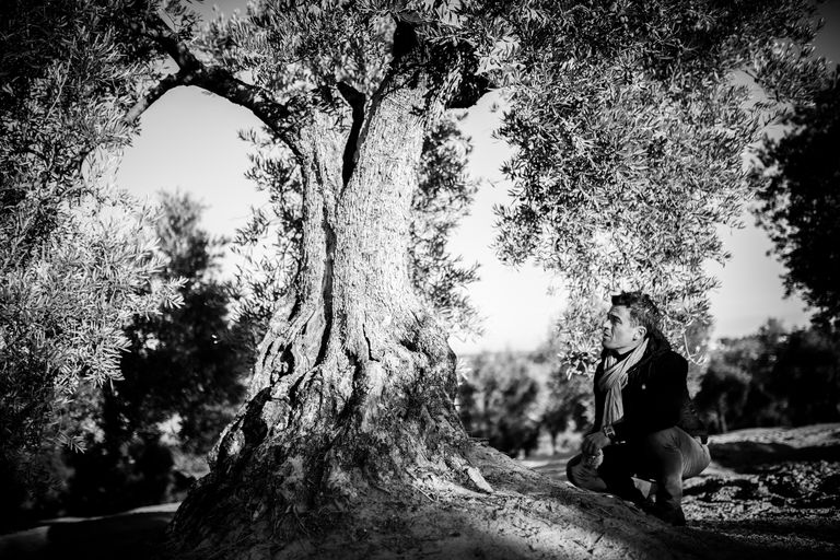 Black and white photo of Alexis Muñoz, crouching at the base of an old olive tree.